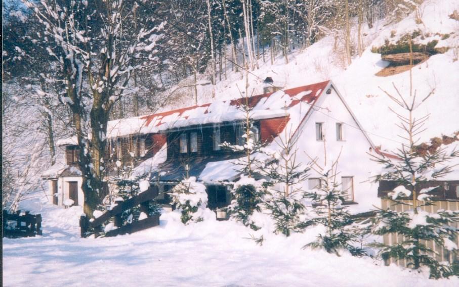 Holiday Home Ve Vlcicich Vlcice Exterior foto